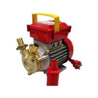 Pumps for transfusion