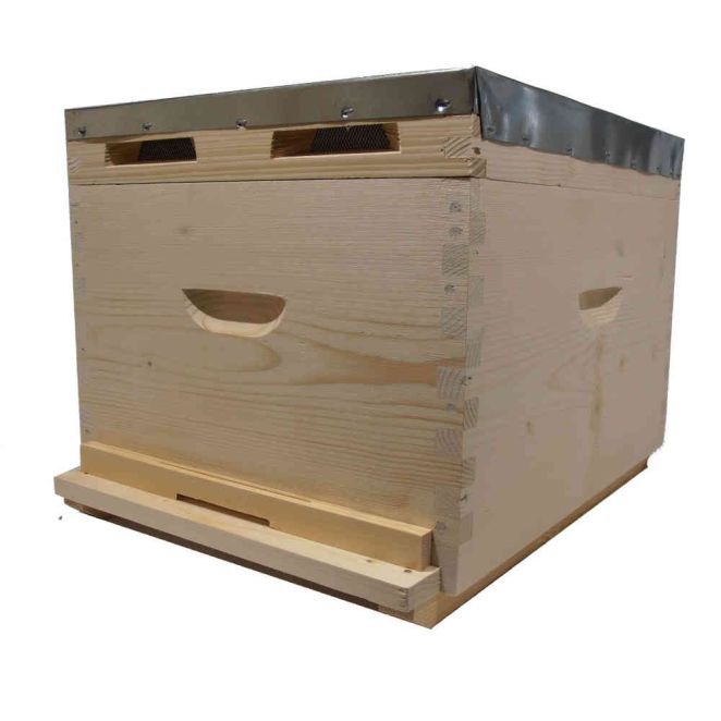 Single hive