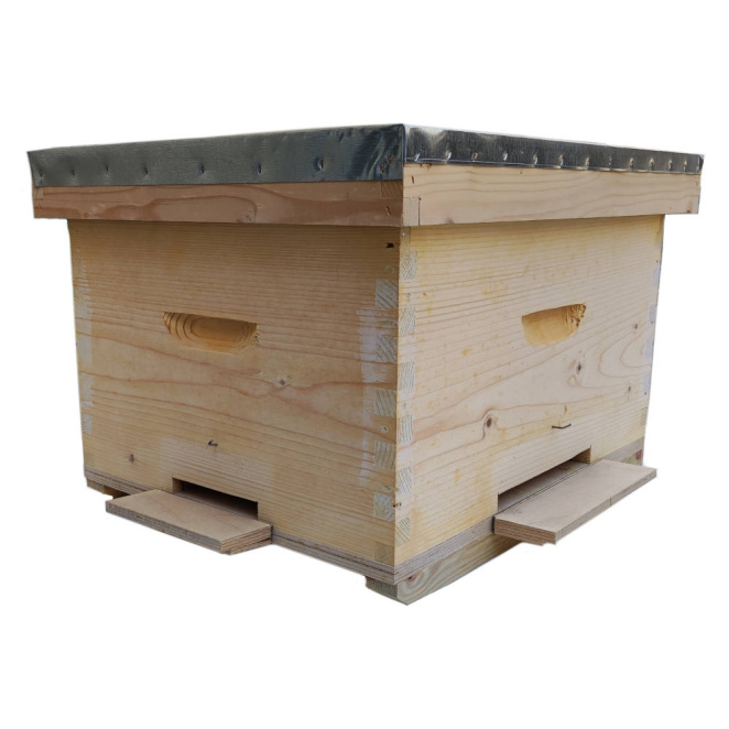 Triple cell hive with feeder