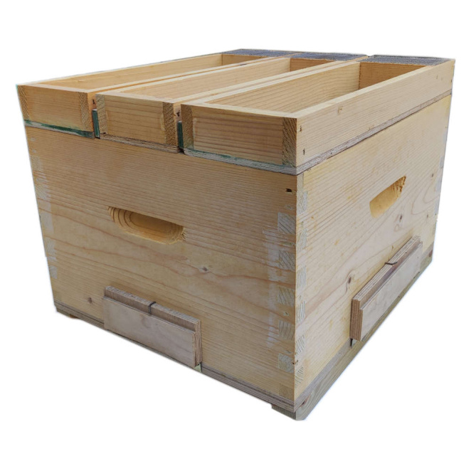Triple cell hive with feeder