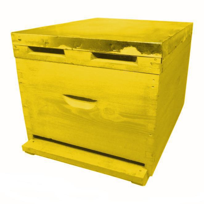 Colored single hive coated with paraffin - Croc